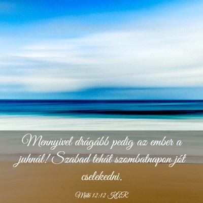 Picture 03 - Máté 12:12 KAR - Mennyivel drágább pedig az ember a juhnál! - Bible Verse Picture