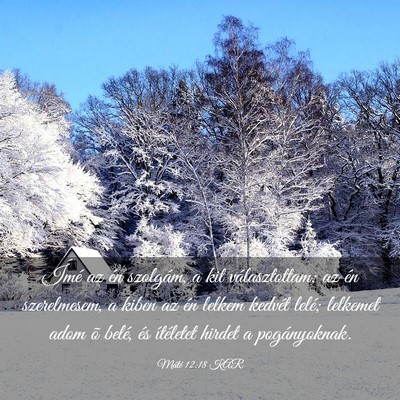 Picture 03 - Máté 12:18 KAR - Ímé az én szolgám, a kit választottam; az - Bible Verse Picture