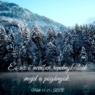Picture 03 - Máté 12:21 KAR - És az õ nevében reménykednek majd a - Bible Verse Picture