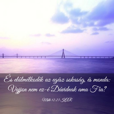 Picture 03 - Máté 12:23 KAR - És elálmélkodék az egész sokaság, és - Bible Verse Picture