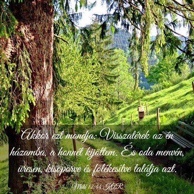 Picture 03 - Máté 12:44 KAR - Akkor ezt mondja: Visszatérek az én házamba, a - Bible Verse Picture