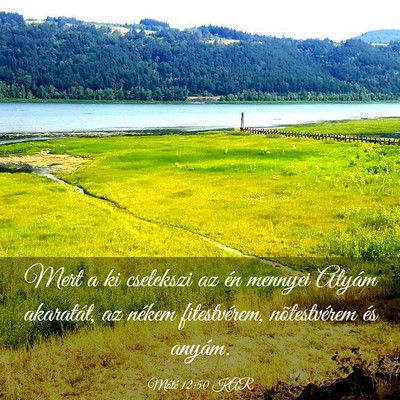 Picture 03 - Máté 12:50 KAR - Mert a ki cselekszi az én mennyei Atyám - Bible Verse Picture