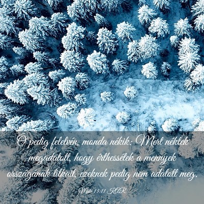 Picture 03 - Máté 13:11 KAR - Õ pedig felelvén, monda nékik: Mert néktek - Bible Verse Picture