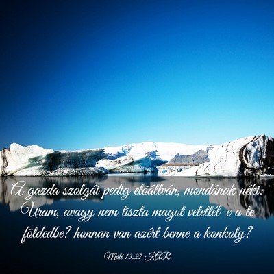 Picture 03 - Máté 13:27 KAR - A gazda szolgái pedig elõállván, mondának - Bible Verse Picture