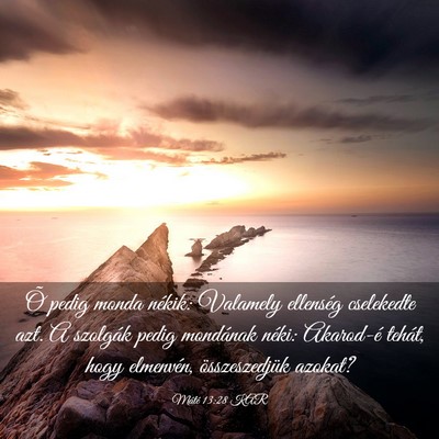 Picture 03 - Máté 13:28 KAR - Õ pedig monda nékik: Valamely ellenség - Bible Verse Picture