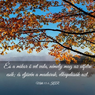 Picture 03 - Máté 13:4 KAR - És a mikor õ vet vala, némely mag az útfélre - Bible Verse Picture