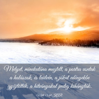 Picture 03 - Máté 13:48 KAR - Melyet, minekutána megtelt, a partra vontak a - Bible Verse Picture