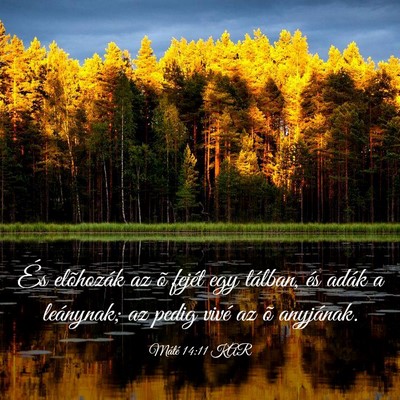 Picture 03 - Máté 14:11 KAR - És elõhozák az õ fejét egy tálban, és - Bible Verse Picture
