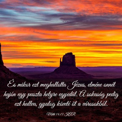Picture 03 - Máté 14:13 KAR - És mikor ezt meghallotta Jézus, elméne onnét - Bible Verse Picture