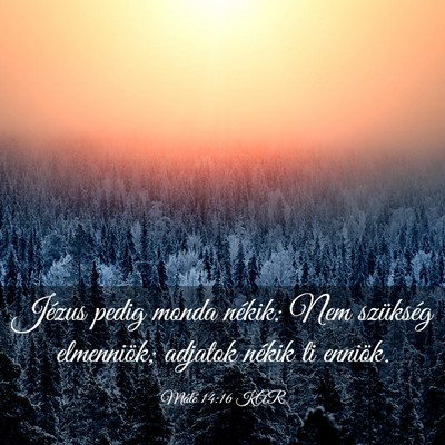 Picture 03 - Máté 14:16 KAR - Jézus pedig monda nékik: Nem szükség - Bible Verse Picture