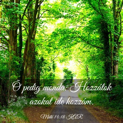 Picture 03 - Máté 14:18 KAR - Õ pedig monda: Hozzátok azokat ide - Bible Verse Picture
