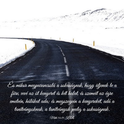 Picture 03 - Máté 14:19 KAR - És mikor megparancsolá a sokaságnak, hogy - Bible Verse Picture