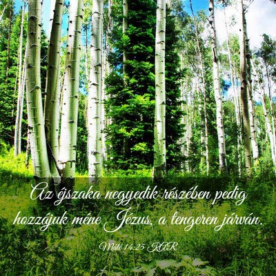 Picture 03 - Máté 14:25 KAR - Az éjszaka negyedik részében pedig hozzájuk - Bible Verse Picture