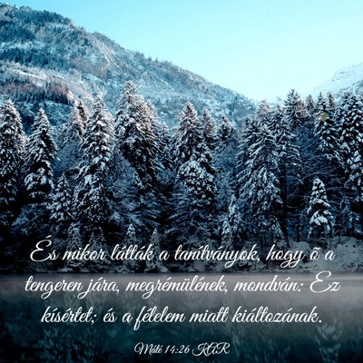 Picture 03 - Máté 14:26 KAR - És mikor látták a tanítványok, hogy õ a - Bible Verse Picture