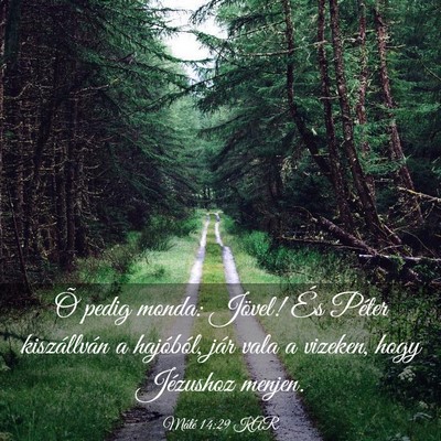Picture 03 - Máté 14:29 KAR - Õ pedig monda: Jövel! És Péter kiszállván a - Bible Verse Picture