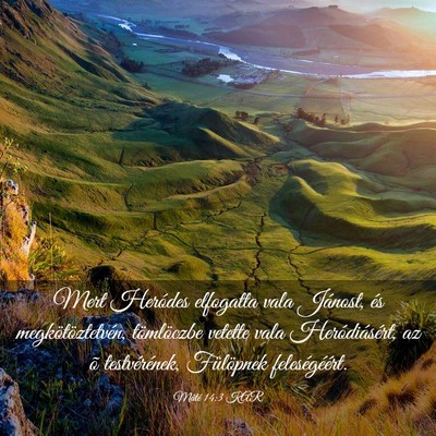 Picture 03 - Máté 14:3 KAR - Mert Heródes elfogatta vala Jánost, és - Bible Verse Picture