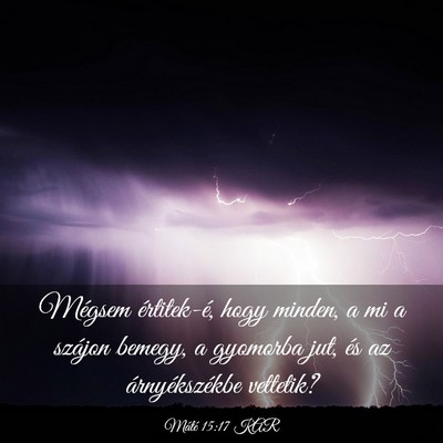 Picture 03 - Máté 15:17 KAR - Mégsem értitek-é, hogy minden, a mi a szájon - Bible Verse Picture