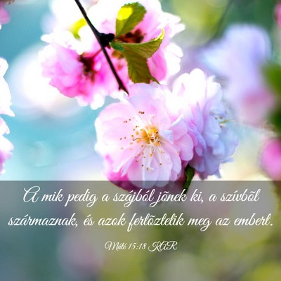 Picture 03 - Máté 15:18 KAR - A mik pedig a szájból jõnek ki, a szívbõl - Bible Verse Picture