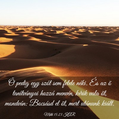 Picture 03 - Máté 15:23 KAR - Õ pedig egy szót sem felele néki. És az õ - Bible Verse Picture