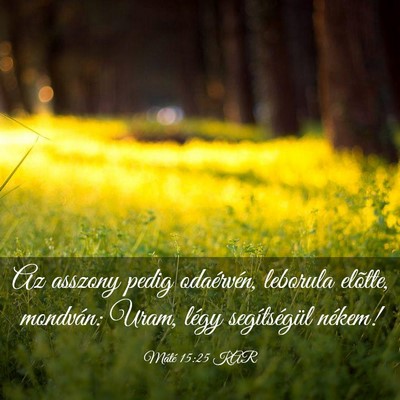 Picture 03 - Máté 15:25 KAR - Az asszony pedig odaérvén, leborula elõtte, - Bible Verse Picture