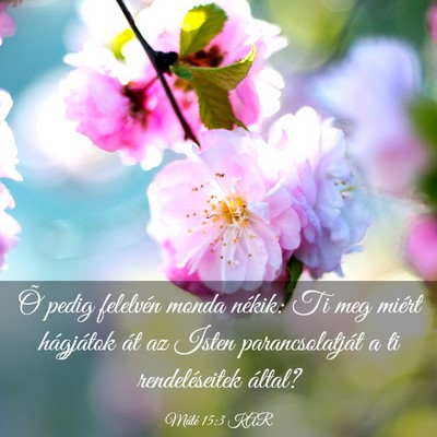 Picture 03 - Máté 15:3 KAR - Õ pedig felelvén monda nékik: Ti meg miért - Bible Verse Picture