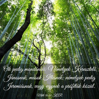 Picture 03 - Máté 16:14 KAR - Õk pedig mondának: Némelyek Keresztelõ - Bible Verse Picture