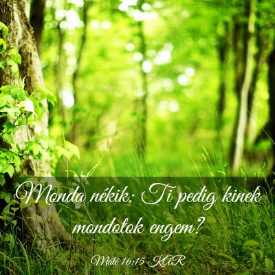 Picture 03 - Máté 16:15 KAR - Monda nékik: Ti pedig kinek mondotok - Bible Verse Picture