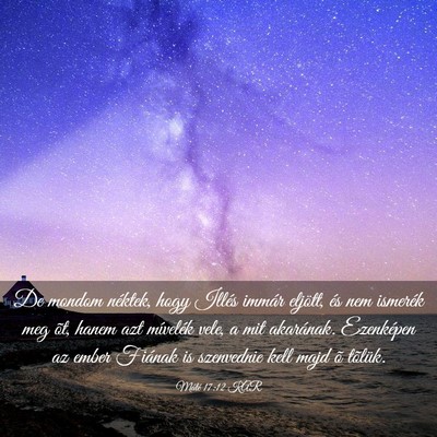Picture 03 - Máté 17:12 KAR - De mondom néktek, hogy Illés immár eljött, - Bible Verse Picture