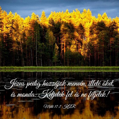 Picture 03 - Máté 17:7 KAR - Jézus pedig hozzájok menvén, illeté õket, - Bible Verse Picture