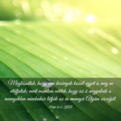 Picture 03 - Máté 18:10 KAR - Meglássátok, hogy eme kicsinyek közül egyet - Bible Verse Picture