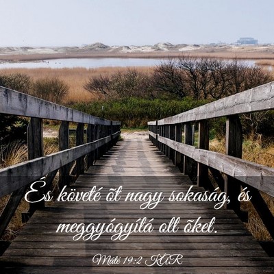 Picture 03 - Máté 19:2 KAR - És követé õt nagy sokaság, és - Bible Verse Picture