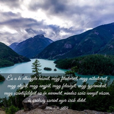 Picture 03 - Máté 19:29 KAR - És a ki elhagyta házait, vagy fitestvéreit, - Bible Verse Picture