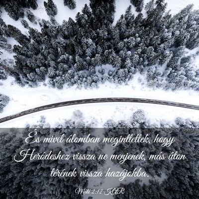 Picture 03 - Máté 2:12 KAR - És mivel álomban meginttettek, hogy Heródeshez - Bible Verse Picture