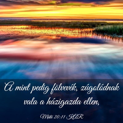 Picture 03 - Máté 20:11 KAR - A mint pedig fölvevék, zúgolódnak vala a - Bible Verse Picture