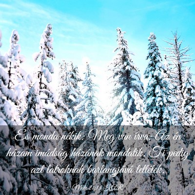 Picture 03 - Máté 21:13 KAR - És monda nékik: Meg van írva: Az én házam - Bible Verse Picture