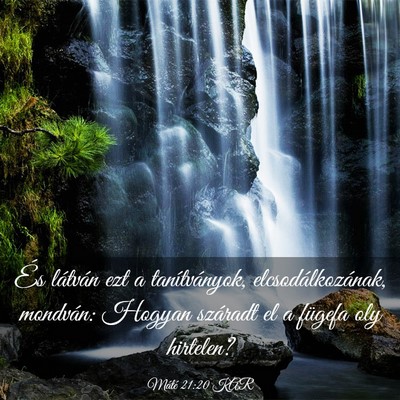 Picture 03 - Máté 21:20 KAR - És látván ezt a tanítványok, - Bible Verse Picture