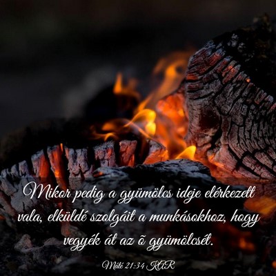 Picture 03 - Máté 21:34 KAR - Mikor pedig a gyümölcs ideje elérkezett vala, - Bible Verse Picture