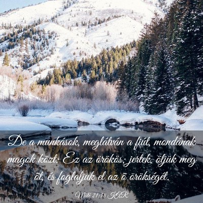 Picture 03 - Máté 21:38 KAR - De a munkások, meglátván a fiút, mondának - Bible Verse Picture