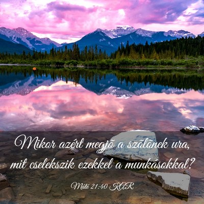 Picture 03 - Máté 21:40 KAR - Mikor azért megjõ a szõlõnek ura, mit - Bible Verse Picture