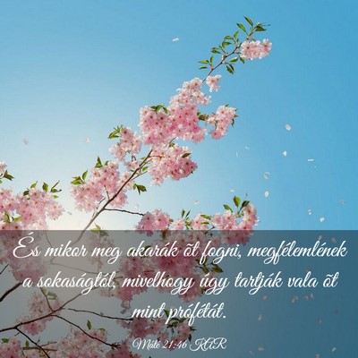 Picture 03 - Máté 21:46 KAR - És mikor meg akarák õt fogni, megfélemlének - Bible Verse Picture