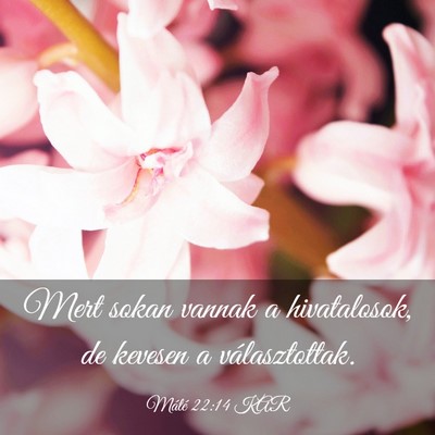 Picture 03 - Máté 22:14 KAR - Mert sokan vannak a hivatalosok, de kevesen a - Bible Verse Picture