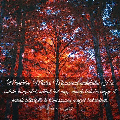 Picture 03 - Máté 22:24 KAR - Mondván: Mester, Mózes azt mondotta: Ha valaki - Bible Verse Picture