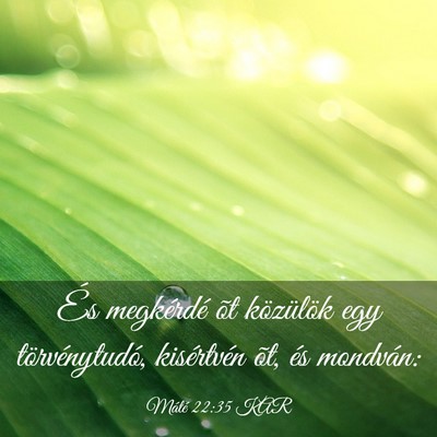 Picture 03 - Máté 22:35 KAR - És megkérdé õt közülök egy törvénytudó, - Bible Verse Picture