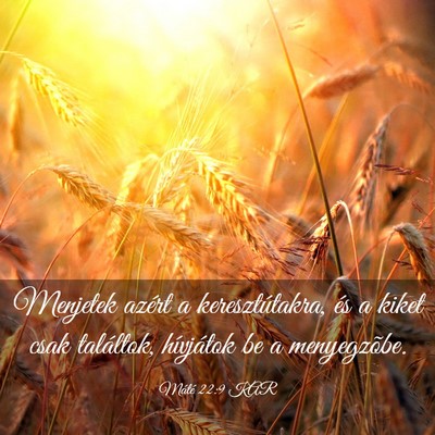 Picture 03 - Máté 22:9 KAR - Menjetek azért a keresztútakra, és a kiket - Bible Verse Picture