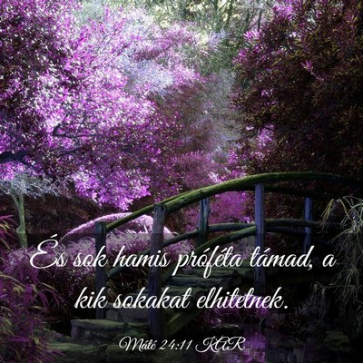 Picture 03 - Máté 24:11 KAR - És sok hamis próféta támad, a kik sokakat - Bible Verse Picture