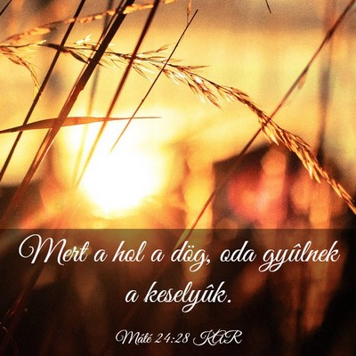 Picture 03 - Máté 24:28 KAR - Mert a hol a dög, oda gyûlnek a - Bible Verse Picture