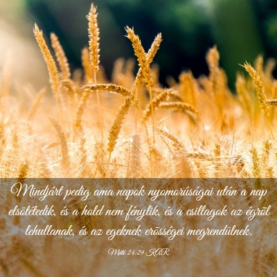 Picture 03 - Máté 24:29 KAR - Mindjárt pedig ama napok nyomorúságai után a - Bible Verse Picture
