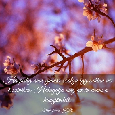 Picture 03 - Máté 24:48 KAR - Ha pedig ama gonosz szolga így szólna az õ - Bible Verse Picture