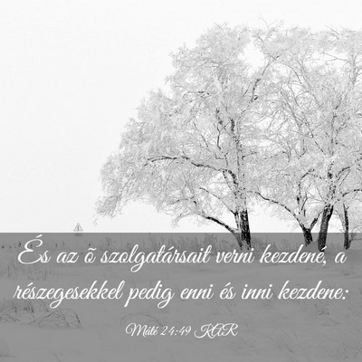 Picture 03 - Máté 24:49 KAR - És az õ szolgatársait verni kezdené, a - Bible Verse Picture