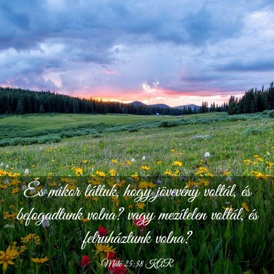 Picture 03 - Máté 25:38 KAR - És mikor láttuk, hogy jövevény voltál, és - Bible Verse Picture